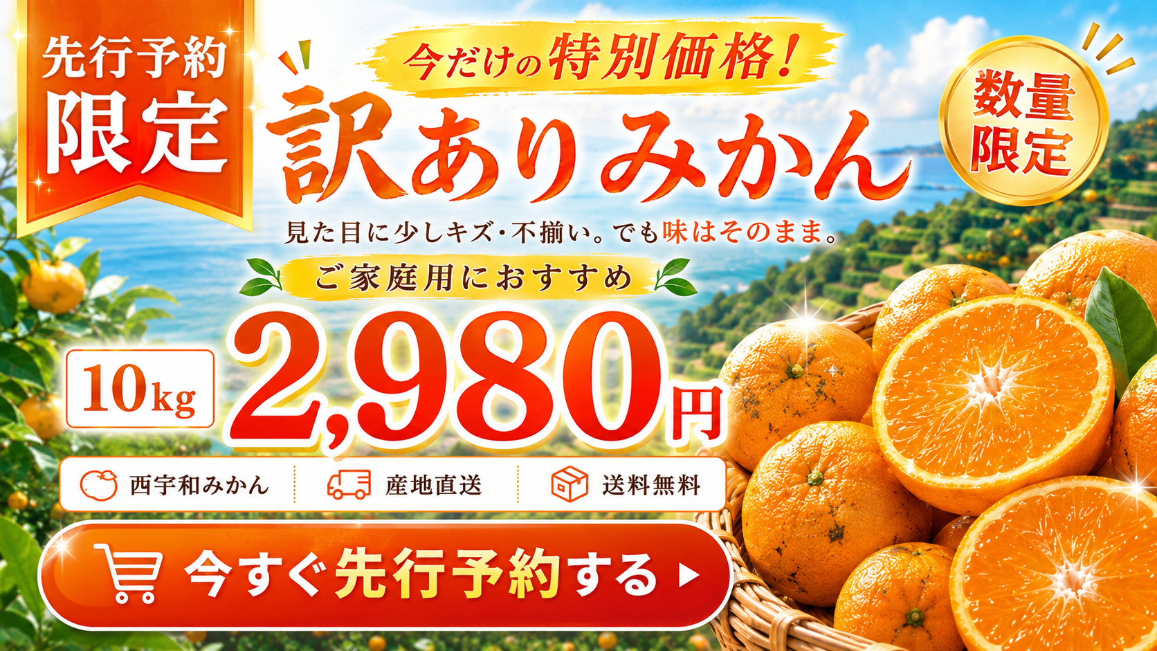 訳ありみかん10kg 今すぐ先行予約する