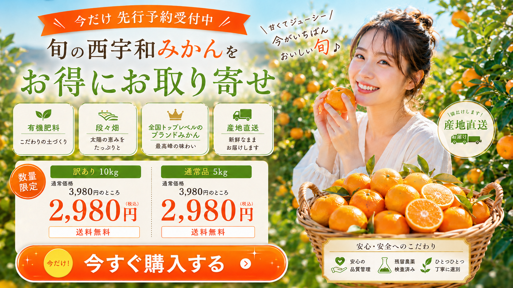 えひめ西宇和のみかん 訳あり 10kg
